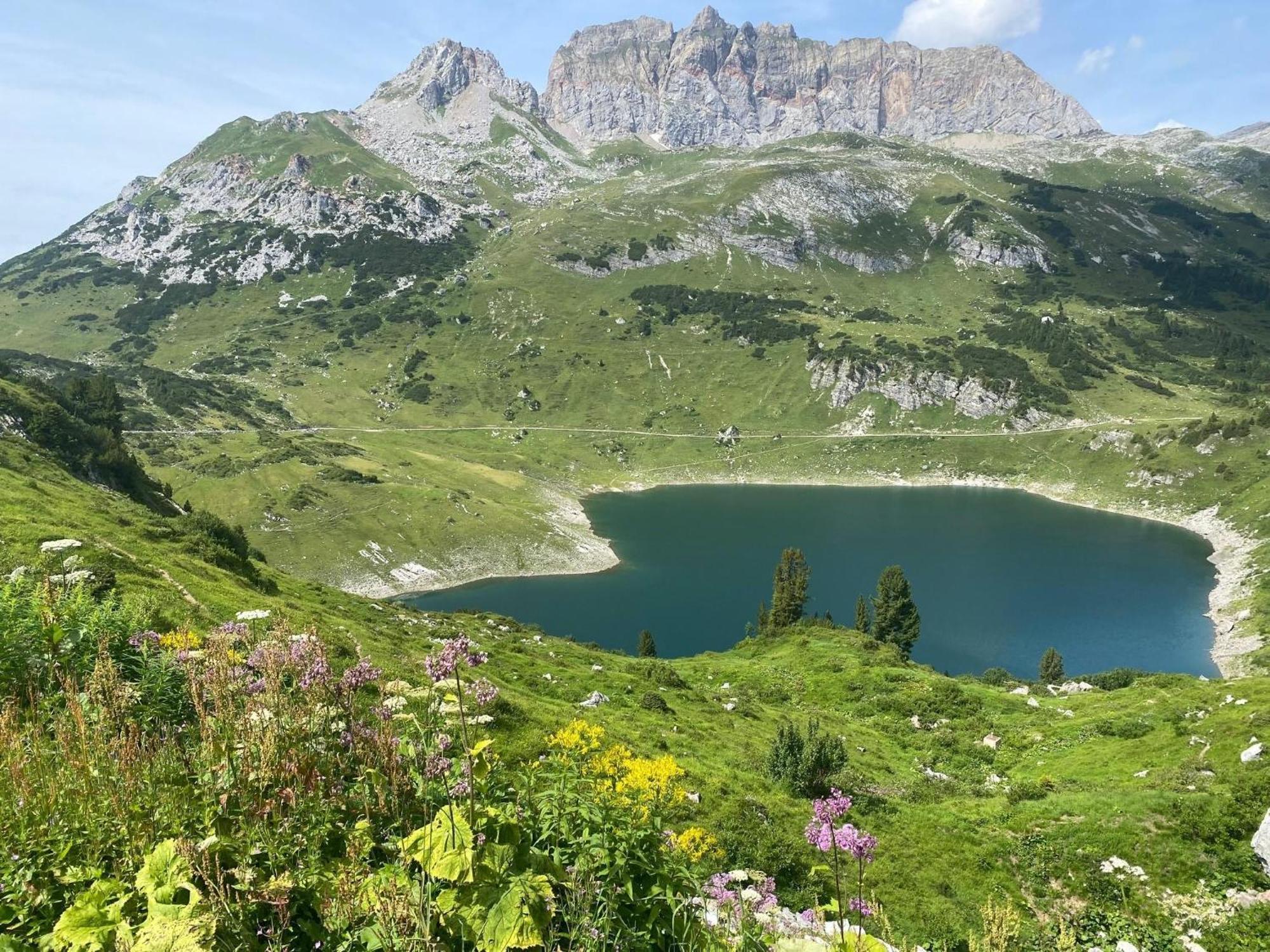 Haus Maschol Lägenhet Wald am Arlberg Exteriör bild